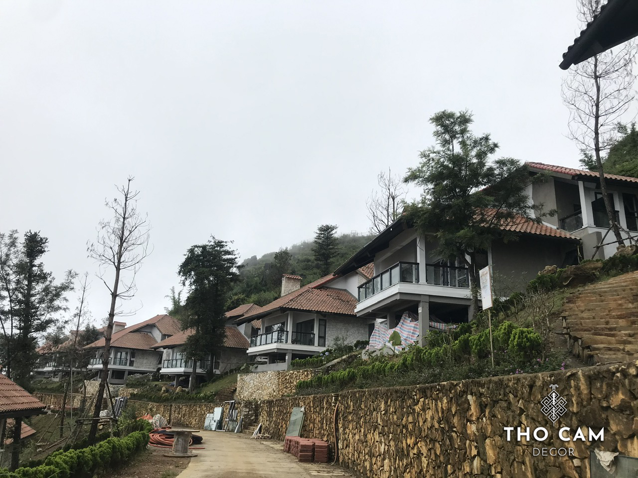 z5173640998873_c87a7a0c0d02f209cbb1455c959995d8